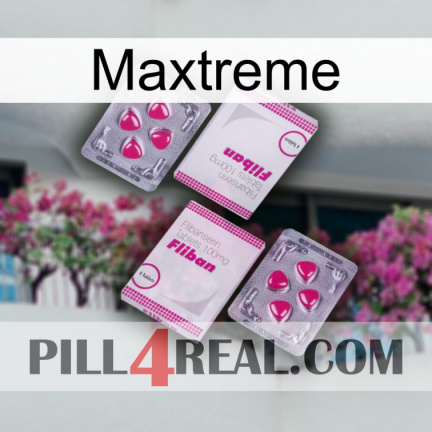 Maxtreme 33